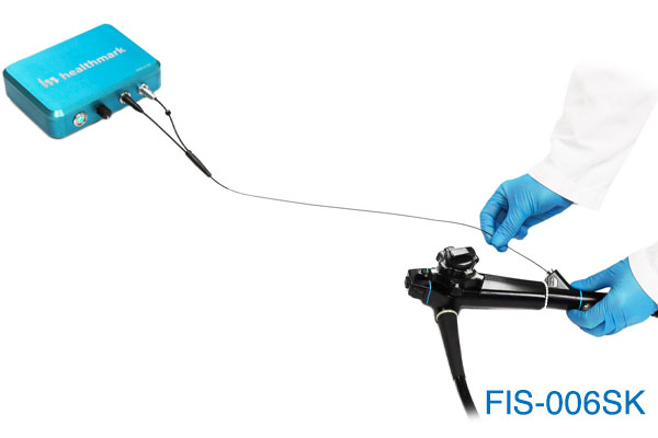FIS-006_02